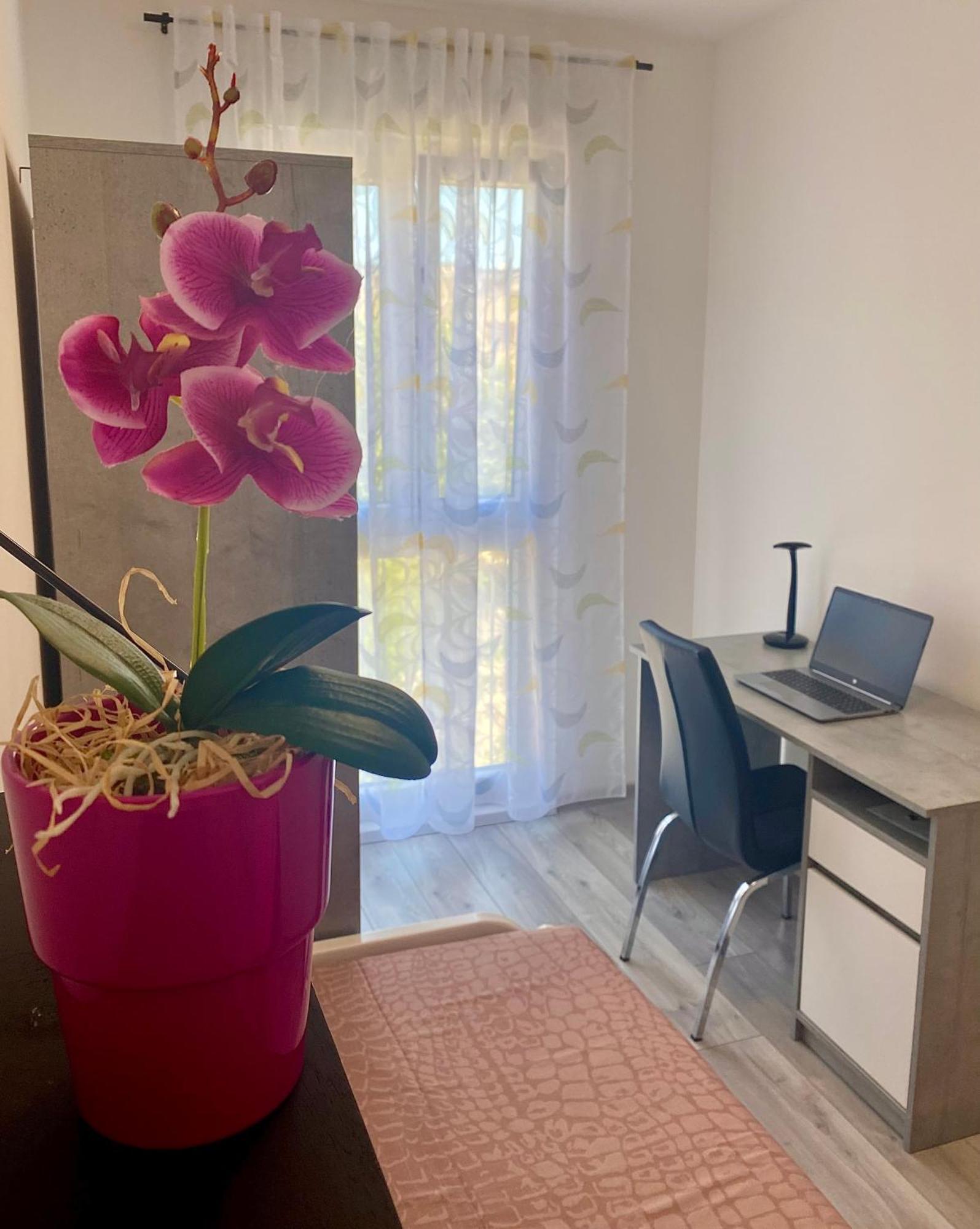Ema Apartment พูลา ภายนอก รูปภาพ